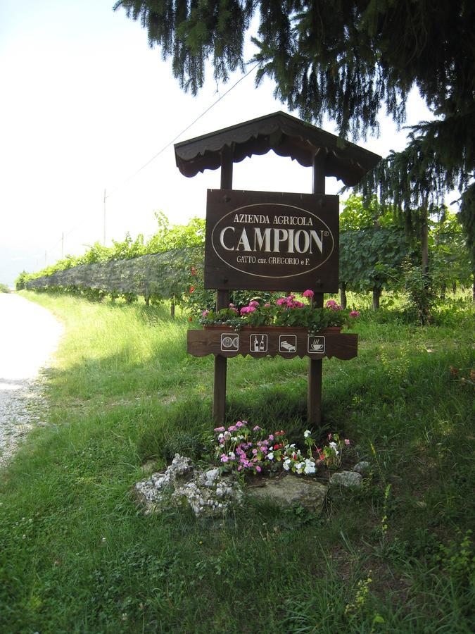 Azienda Agricola Campion Валдобиадене Екстериор снимка