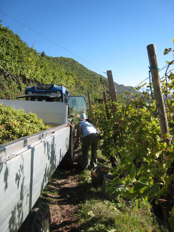Azienda Agricola Campion Валдобиадене Екстериор снимка